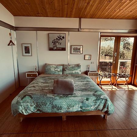 霍巴特豆荚度假住宿加早餐旅馆 金斯顿 外观 照片